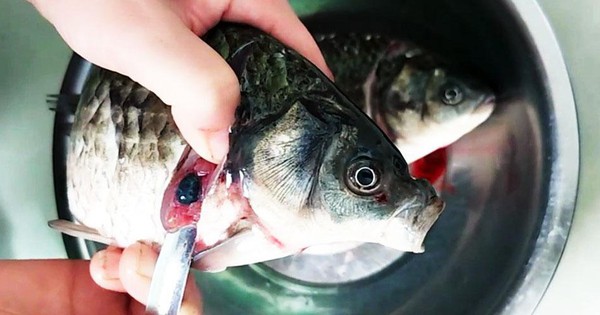 2 bộ phận bên trong con cá chứa chất độc, nhiều người không biết vẫn ăn vì tưởng bổ