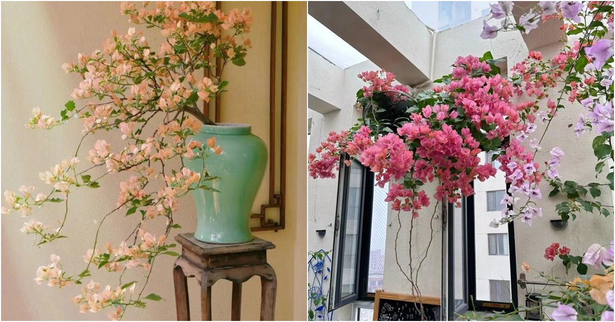Diva Hồng Nhung cắt hoa vào cắm trong penthouse khu nhà giàu, dân mạng bình luận "Nhìn điêu quá"