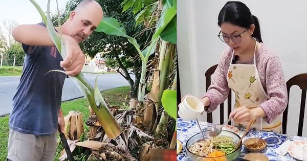 Chồng Brazil bĩu môi khi thấy vợ Việt chặt cây chuối về nấu, vừa nếm thử liền đưa ra nhận xét hết hồn
